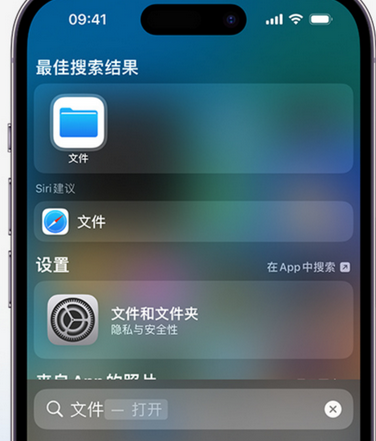 南开乡apple维修中心分享iPhone文件应用中存储和找到下载文件 