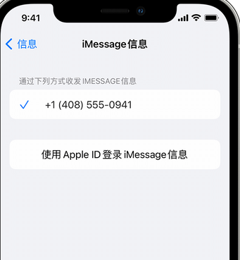 南开乡apple维修iPhone上无法正常发送iMessage信息 