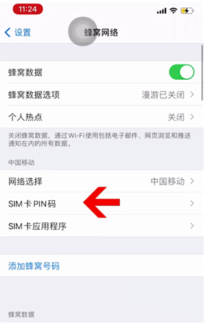 南开乡苹果14维修网分享如何给iPhone14的SIM卡设置密码 