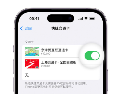 南开乡apple维修点分享iPhone上更换Apple Pay快捷交通卡手绘卡面 