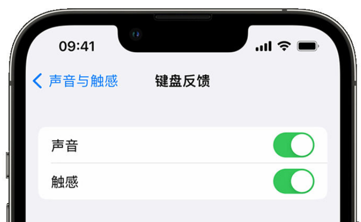 南开乡苹果手机维修分享iPhone 14触感键盘使用方法 