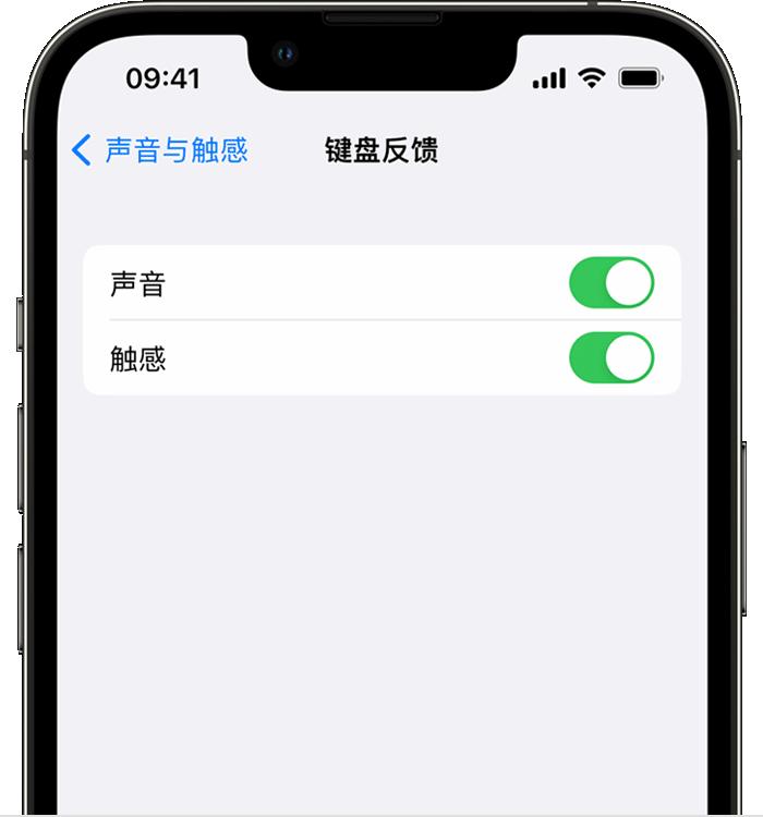 南开乡苹果14维修店分享如何在 iPhone 14 机型中使用触感键盘 