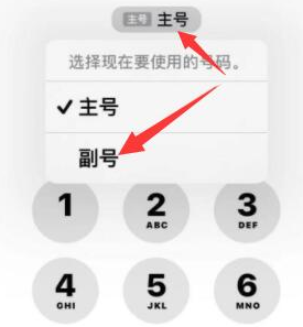 南开乡苹果14维修店分享iPhone 14 Pro Max使用副卡打电话的方法 