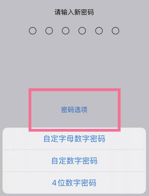南开乡苹果14维修分享iPhone 14plus设置密码的方法 