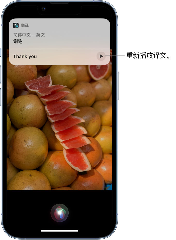 南开乡苹果14维修分享 iPhone 14 机型中使用 Siri：了解 Siri 能帮你做什么 