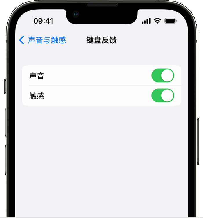 南开乡苹果14维修分享iPhone 14 系列机型如何开启键盘声音或触感反馈 