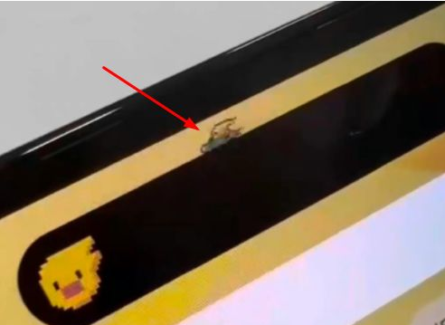 南开乡苹果14维修分享iPhone 14 Pro Max灵动岛怎么养宠物 