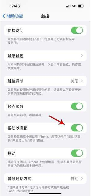 南开乡苹果手机维修分享iPhone手机如何设置摇一摇删除文字 