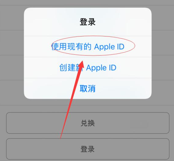南开乡苹果手机维修分享两台iPhone设备可以同时登录一个Apple ID吗 