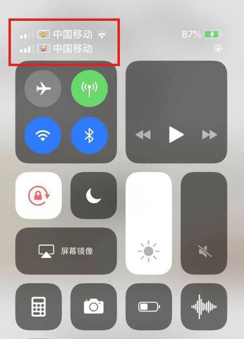 南开乡苹果手机维修分享为 iPhone 12 双卡设置标签 